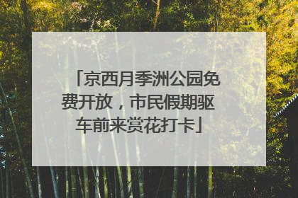 京西月季洲公园免费开放，市民假期驱车前来赏花打卡