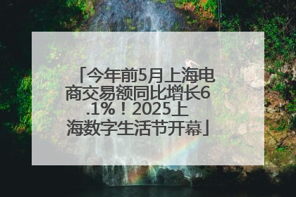 今年前5月上海电商交易额同比增长6.1%！2025上海数字生活节开幕