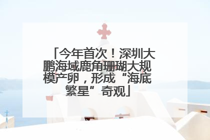 今年首次！深圳大鹏海域鹿角珊瑚大规模产卵，形成“海底繁星”奇观