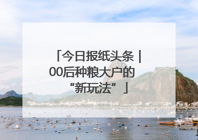 今日报纸头条｜00后种粮大户的“新玩法”