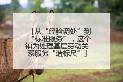 从“经验调处”到“标准服务”，这个镇为处理基层劳动关系服务“造标尺”
