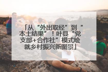 从“外出取经”到“本土结果”！叶县“党支部+合作社”模式绘就乡村振兴新图景