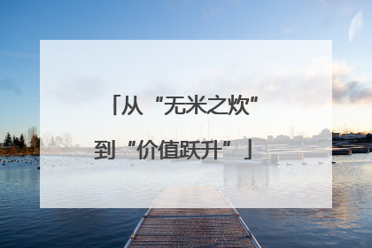 从“无米之炊”到“价值跃升”