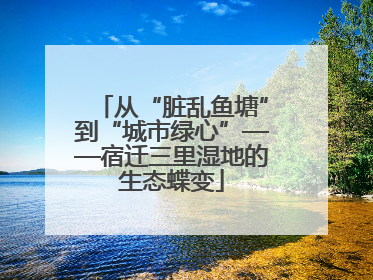 从“脏乱鱼塘”到“城市绿心”——宿迁三里湿地的生态蝶变