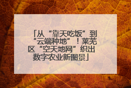 从“靠天吃饭”到“云端种地”！莱芜区“空天地网”织出数字农业新图景