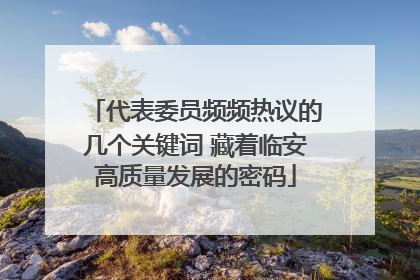 代表委员频频热议的几个关键词 藏着临安高质量发展的密码