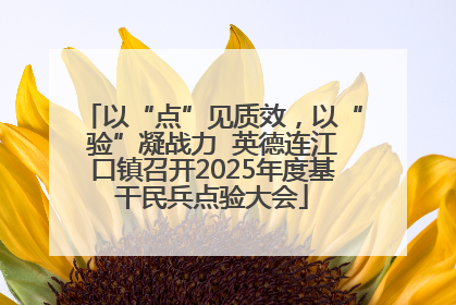 以“点”见质效，以“验”凝战力  英德连江口镇召开2025年度基干民兵点验大会