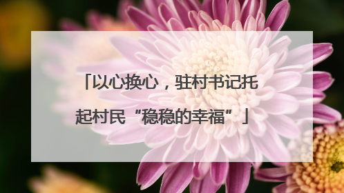 以心换心，驻村书记托起村民“稳稳的幸福”