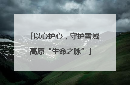 以心护心，守护雪域高原“生命之脉”