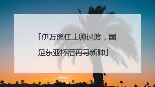 伊万离任土帅过渡，国足东亚杯后再寻新帅