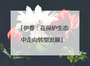伊春：在保护生态中走向转型发展
