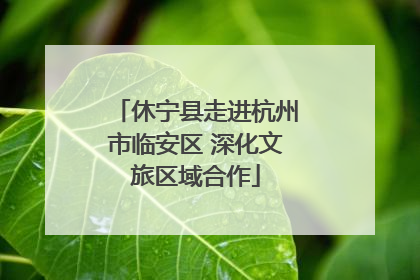 休宁县走进杭州市临安区 深化文旅区域合作