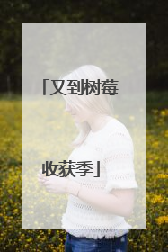 又到树莓收获季
