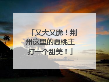 又大又脆！荆州这里的夏桃主打一个甜美！