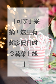 可亲手采摘！这里有超多夏日时令蔬菜上线