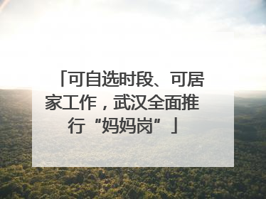可自选时段、可居家工作，武汉全面推行“妈妈岗”