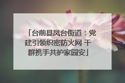 台前县凤台街道：党建引领织密防火网 干群携手共护家园安