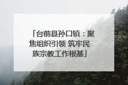 台前县孙口镇：聚焦组织引领 筑牢民族宗教工作根基