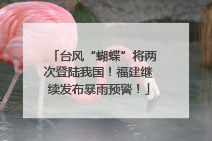 台风“蝴蝶”将两次登陆我国！福建继续发布暴雨预警！