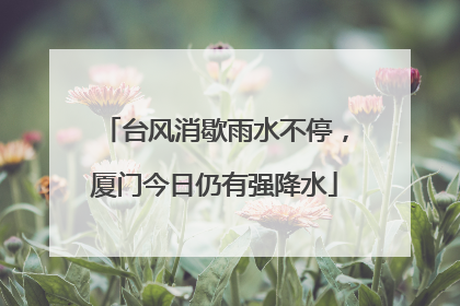 台风消歇雨水不停，厦门今日仍有强降水