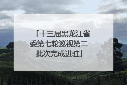十三届黑龙江省委第七轮巡视第二批次完成进驻