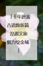 千年唐蕃古道焕新篇 湟源文旅魅力绽金城