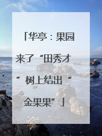华亭：果园来了“田秀才”树上结出“金果果”