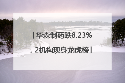 华森制药跌8.23%，2机构现身龙虎榜