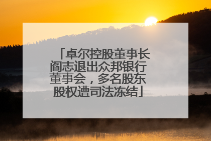 卓尔控股董事长阎志退出众邦银行董事会，多名股东股权遭司法冻结