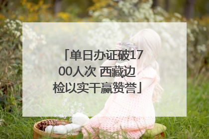 单日办证破1700人次 西藏边检以实干赢赞誉