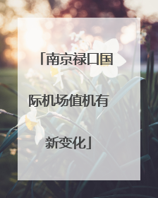 南京禄口国际机场值机有新变化