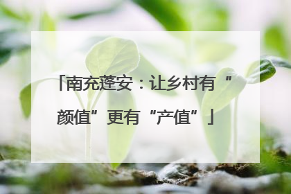 南充蓬安：让乡村有“颜值”更有“产值”