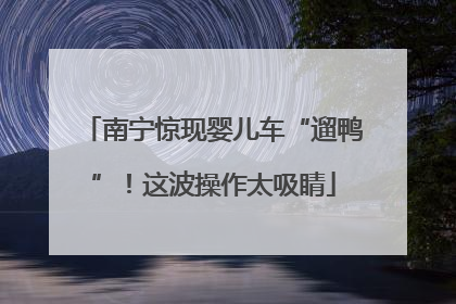 南宁惊现婴儿车“遛鸭”！这波操作太吸睛