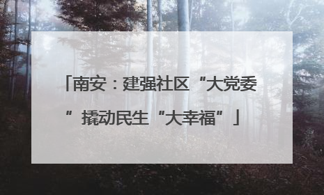 南安：建强社区“大党委”撬动民生“大幸福”