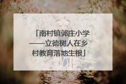 南村镇郭庄小学——立德树人在乡村教育落地生根
