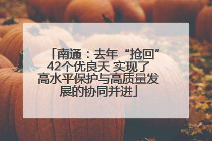 南通：去年“抢回”42个优良天 实现了高水平保护与高质量发展的协同并进