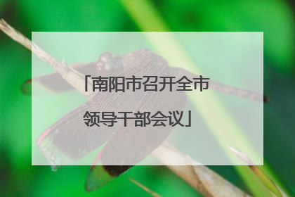 南阳市召开全市领导干部会议