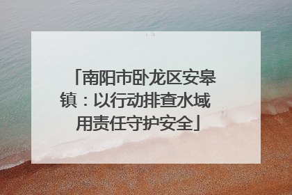 南阳市卧龙区安皋镇：以行动排查水域 用责任守护安全