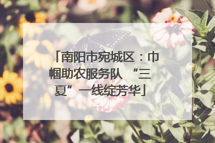 南阳市宛城区：巾帼助农服务队 “三夏”一线绽芳华