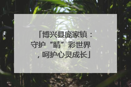 博兴县庞家镇：守护“睛”彩世界，呵护心灵成长