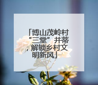 博山茂岭村“三堂”并蒂，解锁乡村文明新风