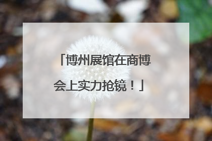 博州展馆在商博会上实力抢镜！