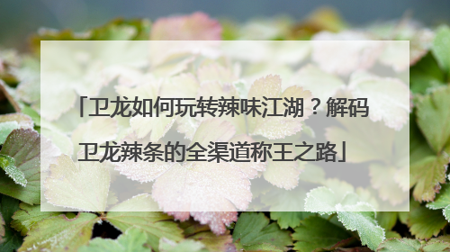 卫龙如何玩转辣味江湖？解码卫龙辣条的全渠道称王之路