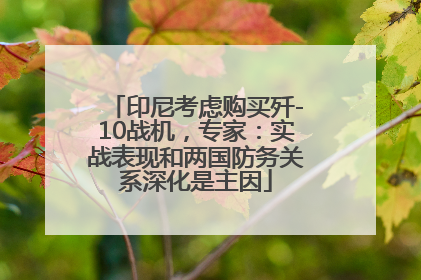 印尼考虑购买歼-10战机，专家：实战表现和两国防务关系深化是主因
