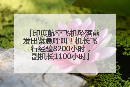 印度航空飞机坠落前发出紧急呼叫！机长飞行经验8200小时，副机长1100小时
