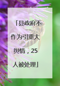 县政府不作为引重大舆情，25人被处理
