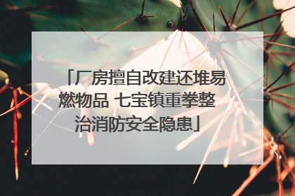 厂房擅自改建还堆易燃物品 七宝镇重拳整治消防安全隐患