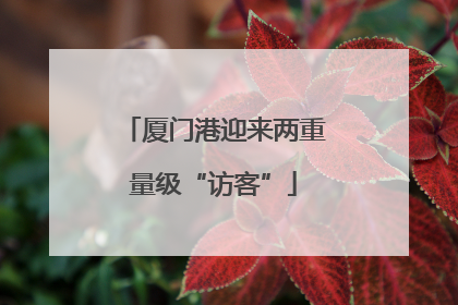厦门港迎来两重量级“访客”