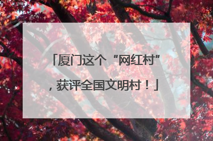 厦门这个“网红村”，获评全国文明村！