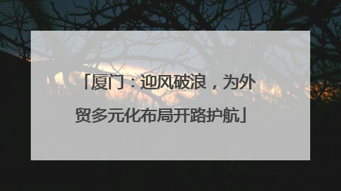 厦门：迎风破浪，为外贸多元化布局开路护航